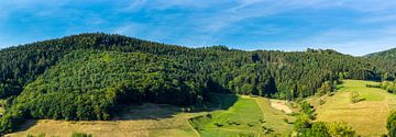 Germany, XXL panorama in middle of black forest countryside by adventure-photos