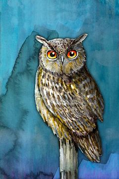 Eule mit orangefarbenen Augen