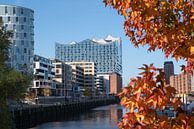 Hafencity of Hamburg, Germany by Alexander Ludwig thumbnail