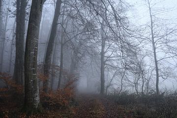 Dichte mist in het beukenbos bij Stockach - Landkreis Konstanz van BlattArt - Christine Horn