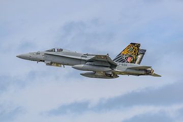 Schweizer Boeing F/A-18C Hornet während der NTM 2017. von Jaap van den Berg