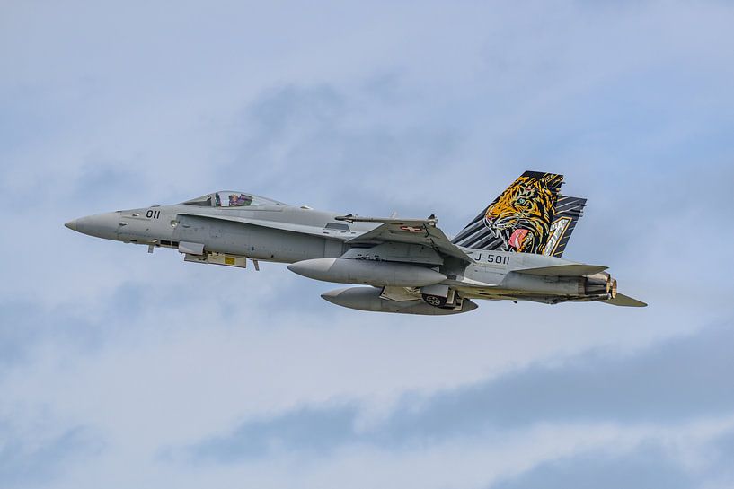 Swiss Boeing F/A-18C Hornet during NTM 2017. by Jaap van den Berg