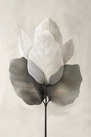 Serene leaf - Japandi style - 1 by Marianne Ottemann - OTTI