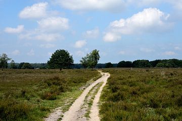 A sandy path across the Ermelosche Heide by Gerard de Zwaan