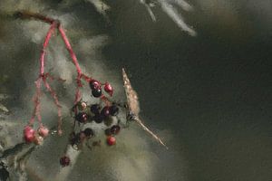 Schmetterling auf einem Zweig mit Beeren