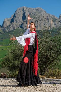 Flameco in den Bergen von Peter Laarakker
