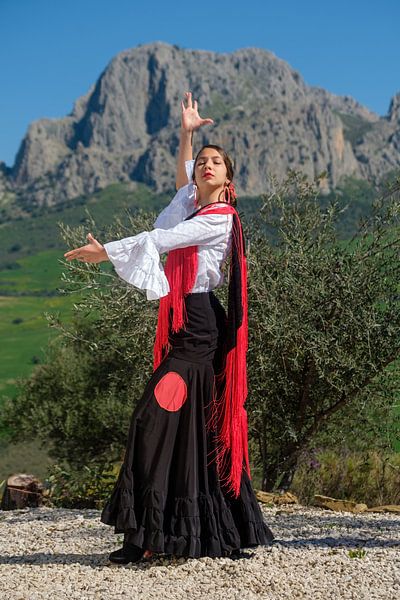 flameco in the mountains by Peter Laarakker