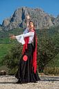 flameco in the mountains by Peter Laarakker thumbnail