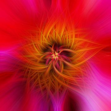Fleur de lumière. Feu d'artifice géométrique abstrait. Rouge et orange. sur Dina Dankers