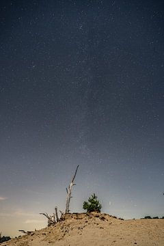 Melkweg in de sterrenhemel bij een moonscape landschap van Tom Vogels