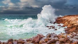 Bretagne in de storm van Alain Gaymard