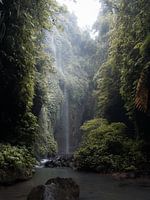 Cascade cachée dans la forêt tropicale