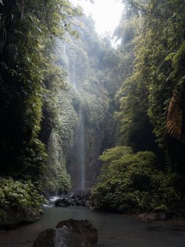 Verborgen waterval in tropisch regenwoud van Ian Schepers