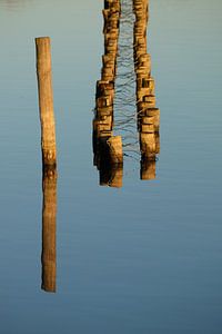 weerspiegeling in het water van Myrte Wilms