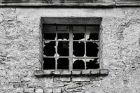 Fenster