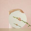 Surrealist Reflections IV by Crystal Clear thumbnail