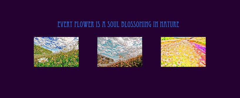 Drieluik&quot;flowering fields&quot; by foto-fantasie foto-fantasie