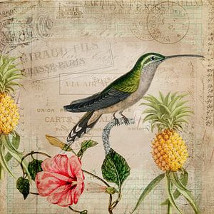 Vintage Kolibri
