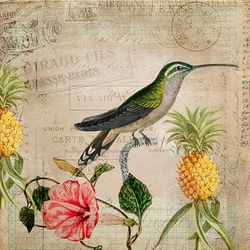 Vintage  Kolibrie van Andrea Haase