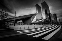 Centraal Station met zebrapad (zwart-wit)