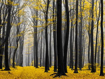 Goldener Wald