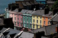 Häuser in Cobh, Irland von Marcel Admiraal Miniaturansicht