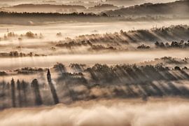 Licht von René Pronk