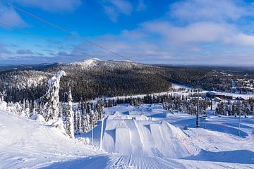 Landschap met sneeuw en bomen in de winter in Ruka, Finland van Rico Ködder