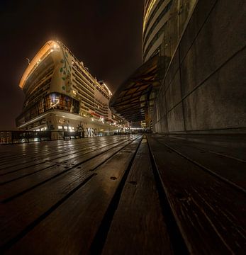 Kreuzfahrtschiff Kreuzfahrtterminal Wilhelminapier von Bob Vandenberg