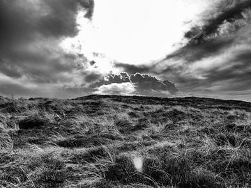 Duin landschap ! von erik boer