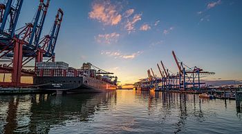 Hamburger Hafen Waltershof 16:9 Panoramabild