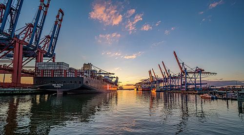 Haven van Hamburg Waltershof 16:9 Panoramafoto