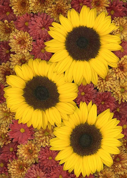 Indian summer flowers by Elles Rijsdijk