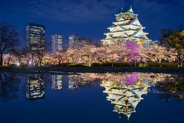 Castle of Osaka at night by Michael Abid