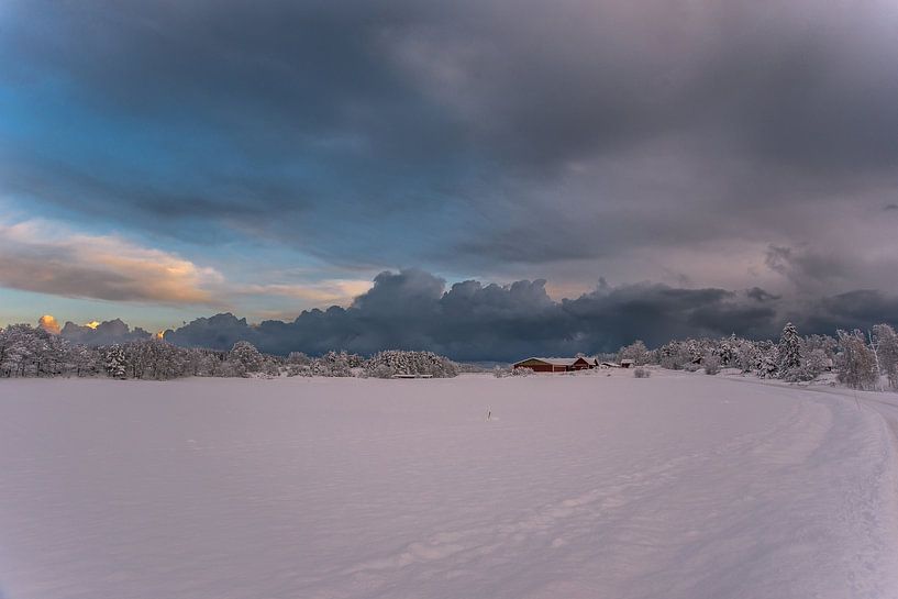 Winter land in Småland by Marc Hollenberg