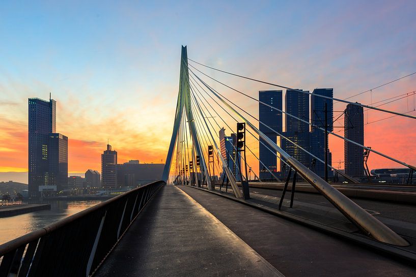 Le pont Erasmus. par delkimdave Van Haren