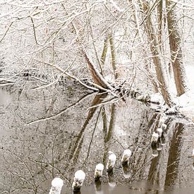 Neige et lignes. sur Alie Ekkelenkamp