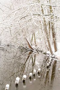 Sneeuw en lijnenspel.