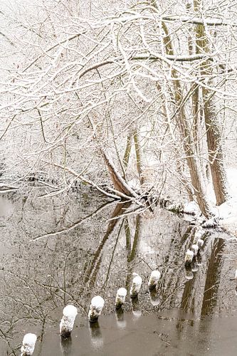 Sneeuw en lijnenspel.