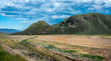 Tracks in the grassland, British Columbia, Canada by Rietje Bulthuis