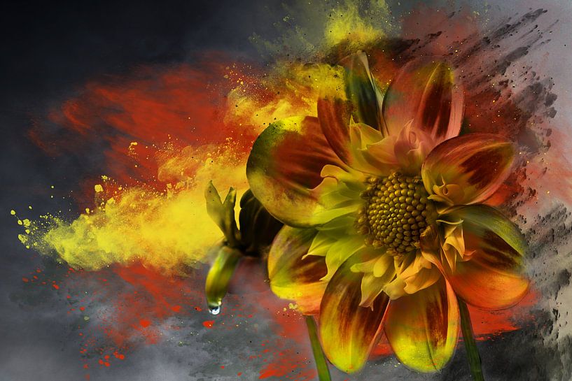 Fleur d'automne avec goutte par Harry Stok