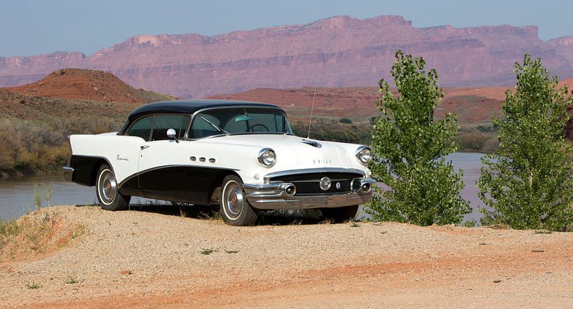 Vintage Buick by Jolanda van Eek en Ron de Jong