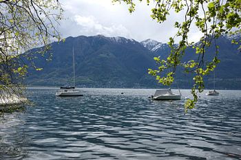 ⛰️ Zwischen Wasser und Gipfeln – Frühling in Minusio 