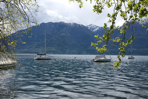 ⛰️ Zwischen Wasser und Gipfeln – Frühling in Minusio 