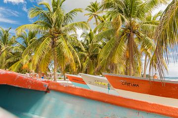 Kleurrijke bootjes op Saona (Dominicaanse Republiek) van Laura V