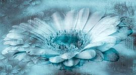 Gerbera turquoise, with text by Rietje Bulthuis