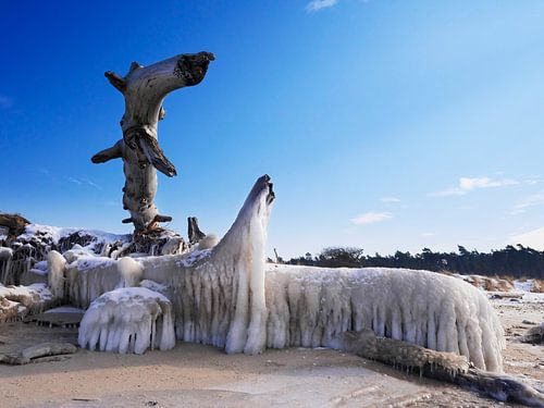 Eisriesen – Darß Weststrand im Winter 2018