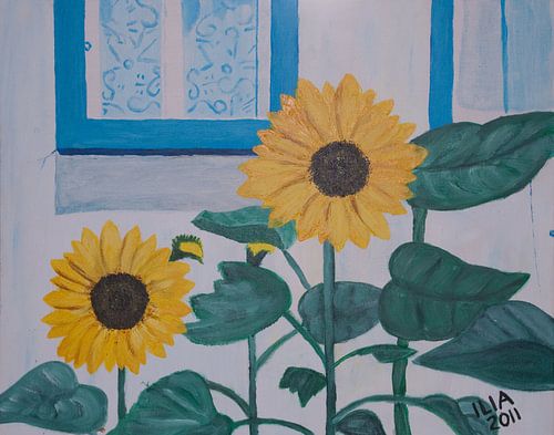 Time flies by Ilia Berends