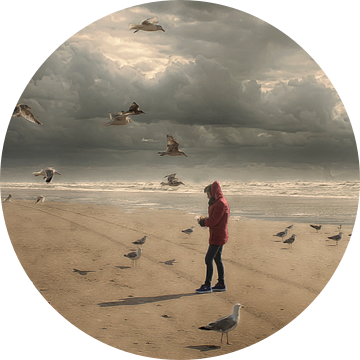 Strand  zee en meeuwen van marleen brauers