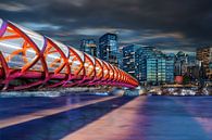 Peace Bridge Calgary by Jan van Dasler thumbnail